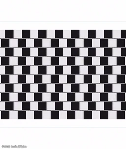 Café Wall Illusion thumbnail
