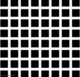 Hermann Grid thumbnail